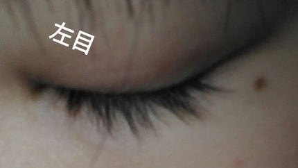 ラッシュジェリードロップ EX/MAJOLICA MAJORCA/まつげ美容液を使ったクチコミ(3枚目)