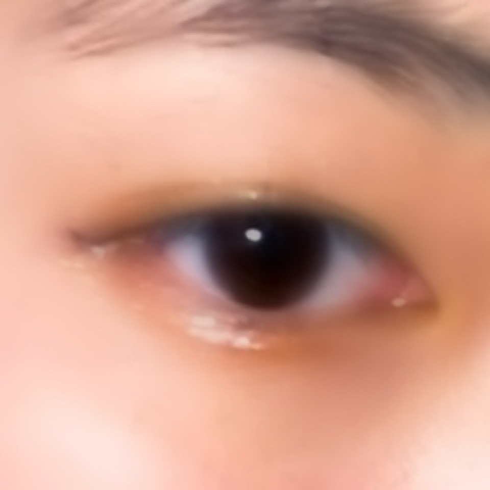 プロ アイ パレット/CLIO/アイシャドウパレットを使ったクチコミ（1枚目）