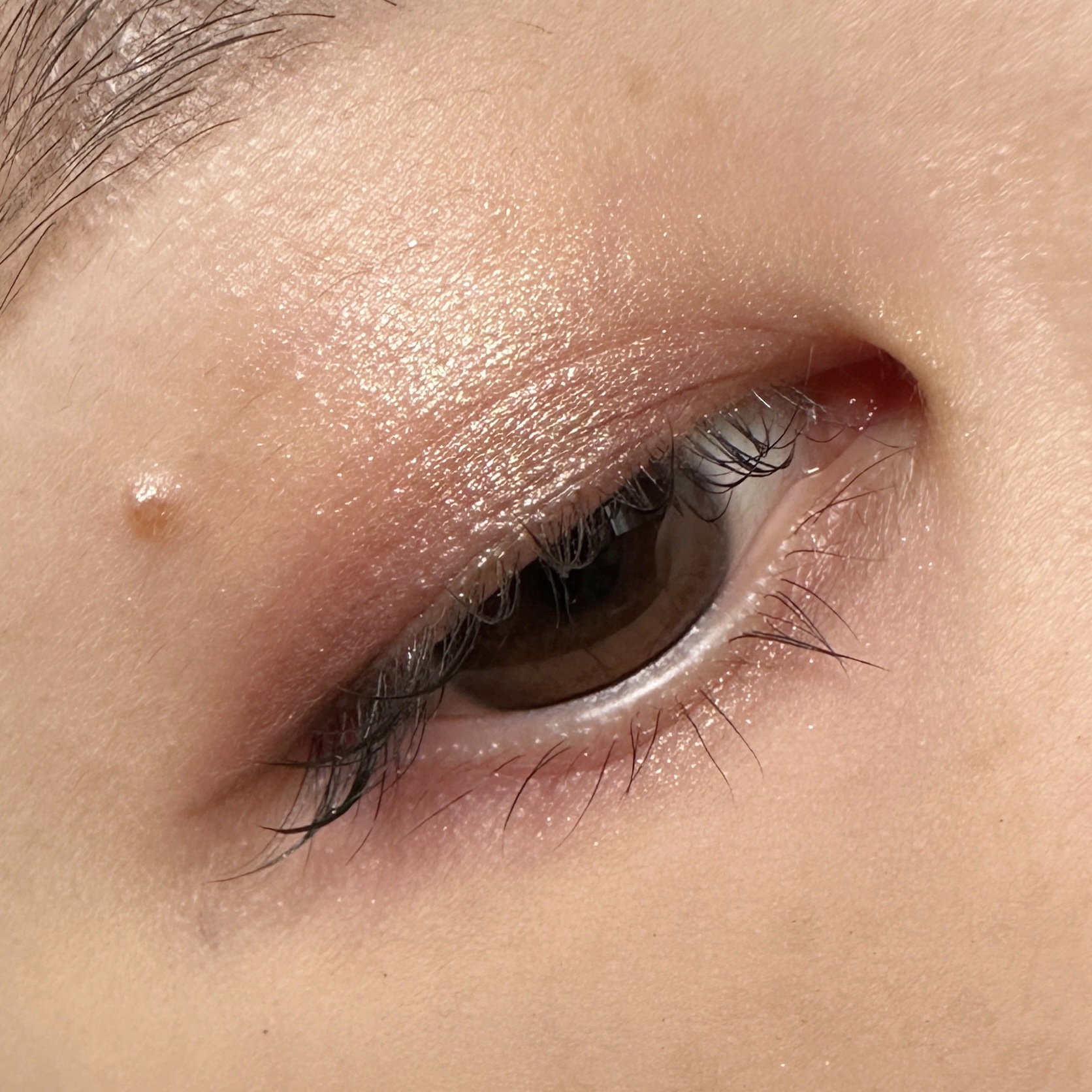 オンブル ドゥ エルメス パレット クワテュール 06 オンブル・モルドレ/エルメス/アイシャドウパレットを使ったクチコミ（3枚目）