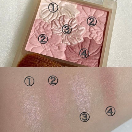 グロウフルールチークス(ブレンドタイプ)/キャンメイク/パウダーチークを使ったクチコミ(2枚目)