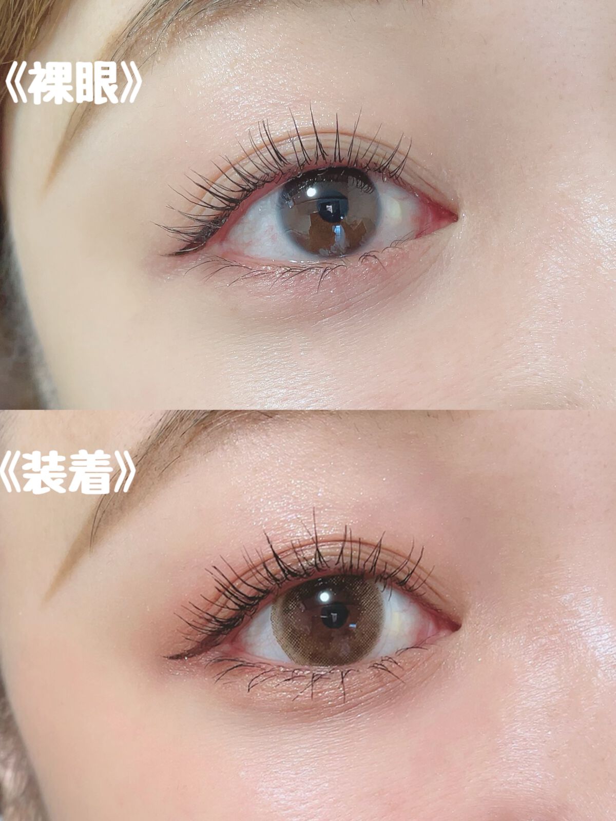 リッチスタンダード スタンダードライン 1day/RICH STANDARD/ワンデー(1DAY)カラコンを使ったクチコミ(2枚目)