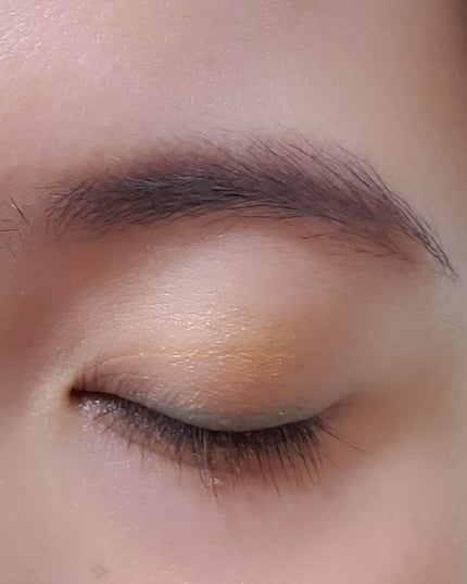 カラーリップスティック/アルジェラン/リップクリームを使ったクチコミ(6枚目)