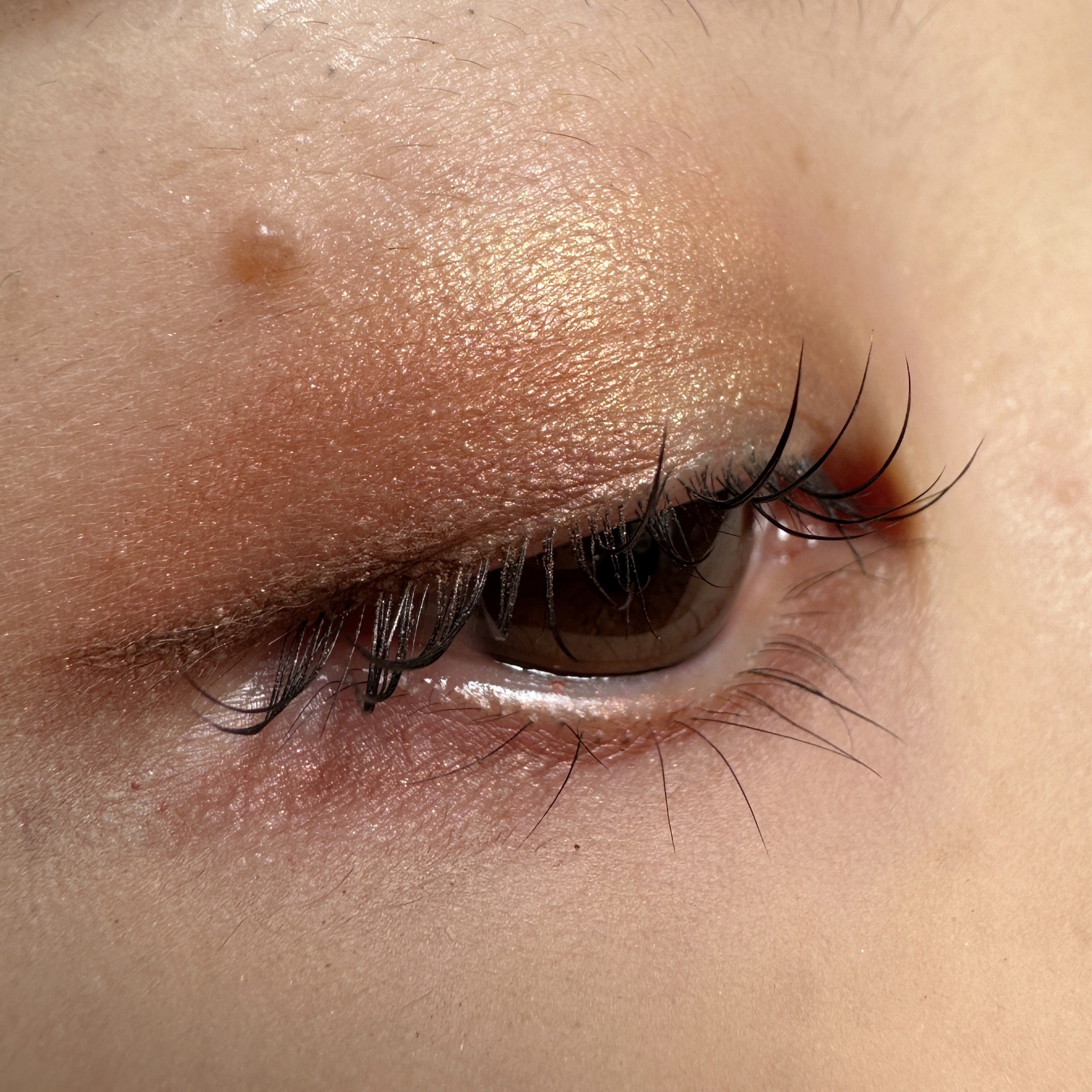 アイ カラー クォード 26 レオパード サン/TOM FORD BEAUTY/アイシャドウパレットを使ったクチコミ（3枚目）