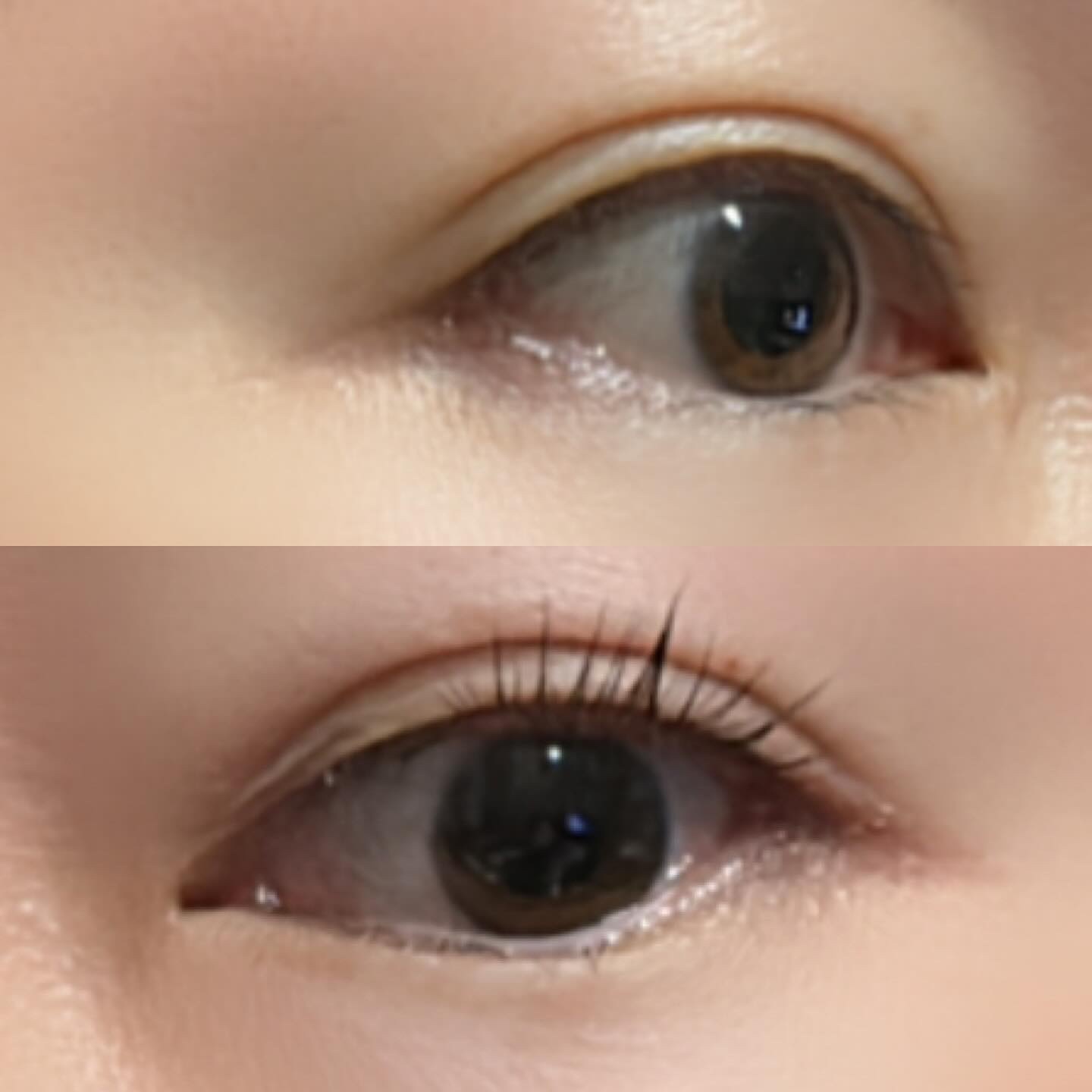 セルフまつ毛パーマキット/ICLIONE/その他キットセットを使ったクチコミ（3枚目）