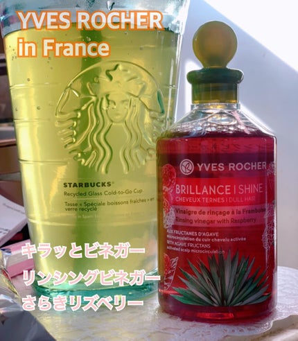 リンシングビネガー シルキーシャイン さらキララズベリー/イヴ・ロシェ/洗い流すヘアトリートメントを使ったクチコミ(1枚目)