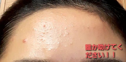 を使ったクチコミ(2枚目)