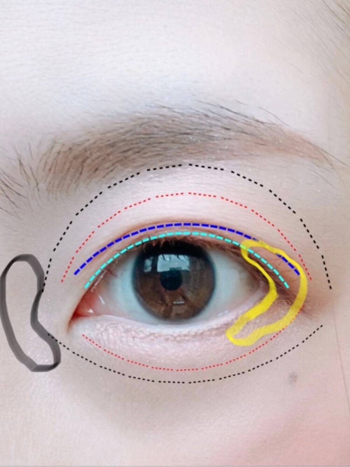 AC 8カラーアイパレット/AC MAKEUP/アイシャドウパレットを使ったクチコミ(5枚目)