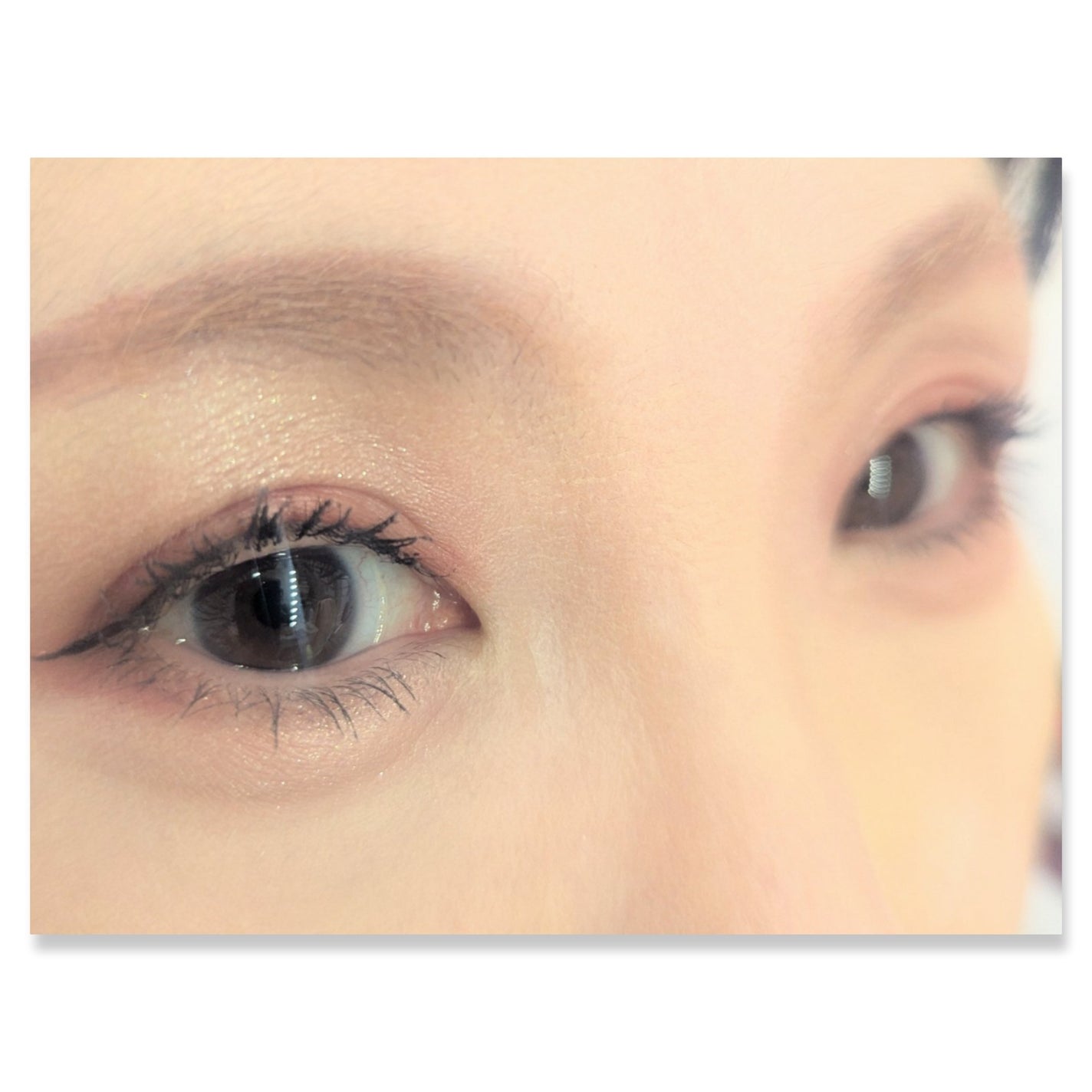 ショコラスウィート アイズ/リンメル ロンドン/アイシャドウパレットを使ったクチコミ(2枚目)