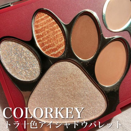 トラ十色アイシャドウパレット/COLORKEY/アイシャドウパレットを使ったクチコミ(2枚目)