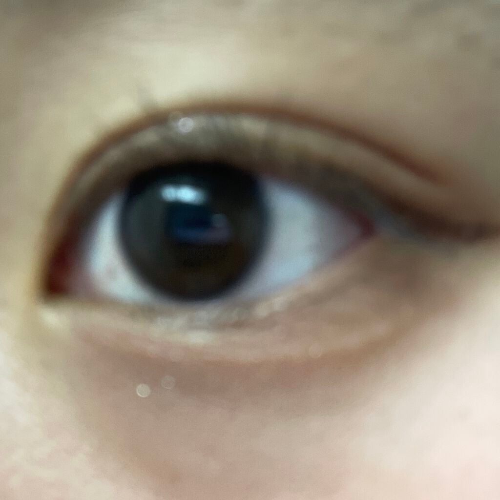 VNTUS 1day/VNTUS/ワンデー(1DAY)カラコンを使ったクチコミ(3枚目)