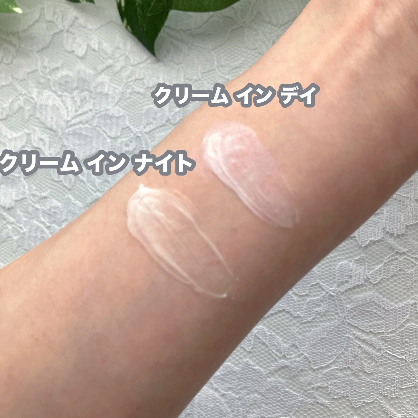 カネボウ クリーム イン ナイト/KANEBO/フェイスクリームを使ったクチコミ(4枚目)