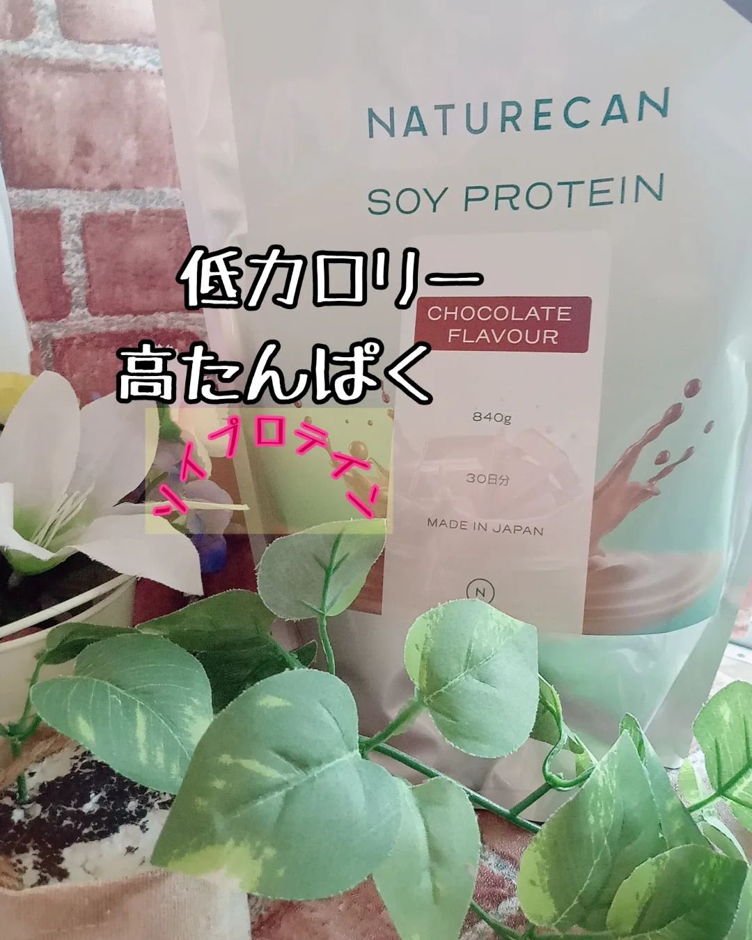 ソイプロテイン/NATURECAN/ソイプロテインを使ったクチコミ（1枚目）