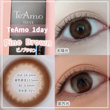 TeAmo 1DAY ピノ ブラウン/TeAmo/ワンデー（１DAY）カラコンを使ったクチコミ（2枚目）