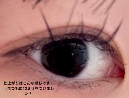 アイラッシュフィクサーEX 552/D-UP/つけまつげを使ったクチコミ(3枚目)