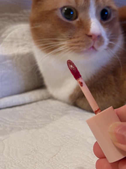 アンドバイロムアンド グラッシーボムティント/&nd by rom&nd/リップティントを使ったクチコミ(2枚目)