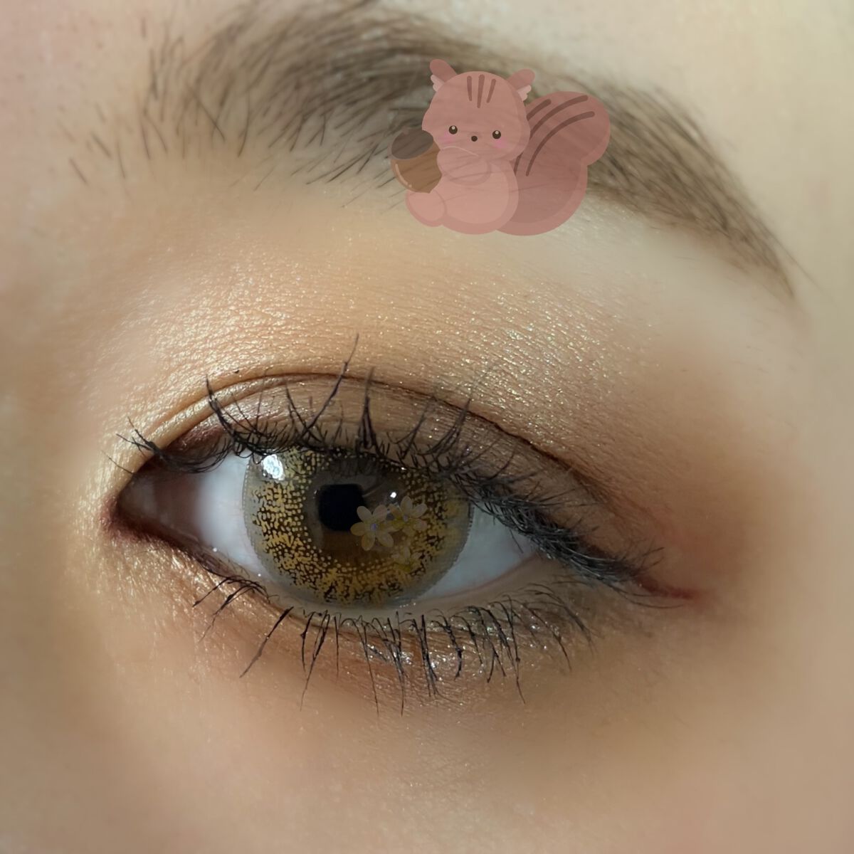 デュオアイシャドー/NARS/アイシャドウパレットを使ったクチコミ（2枚目）