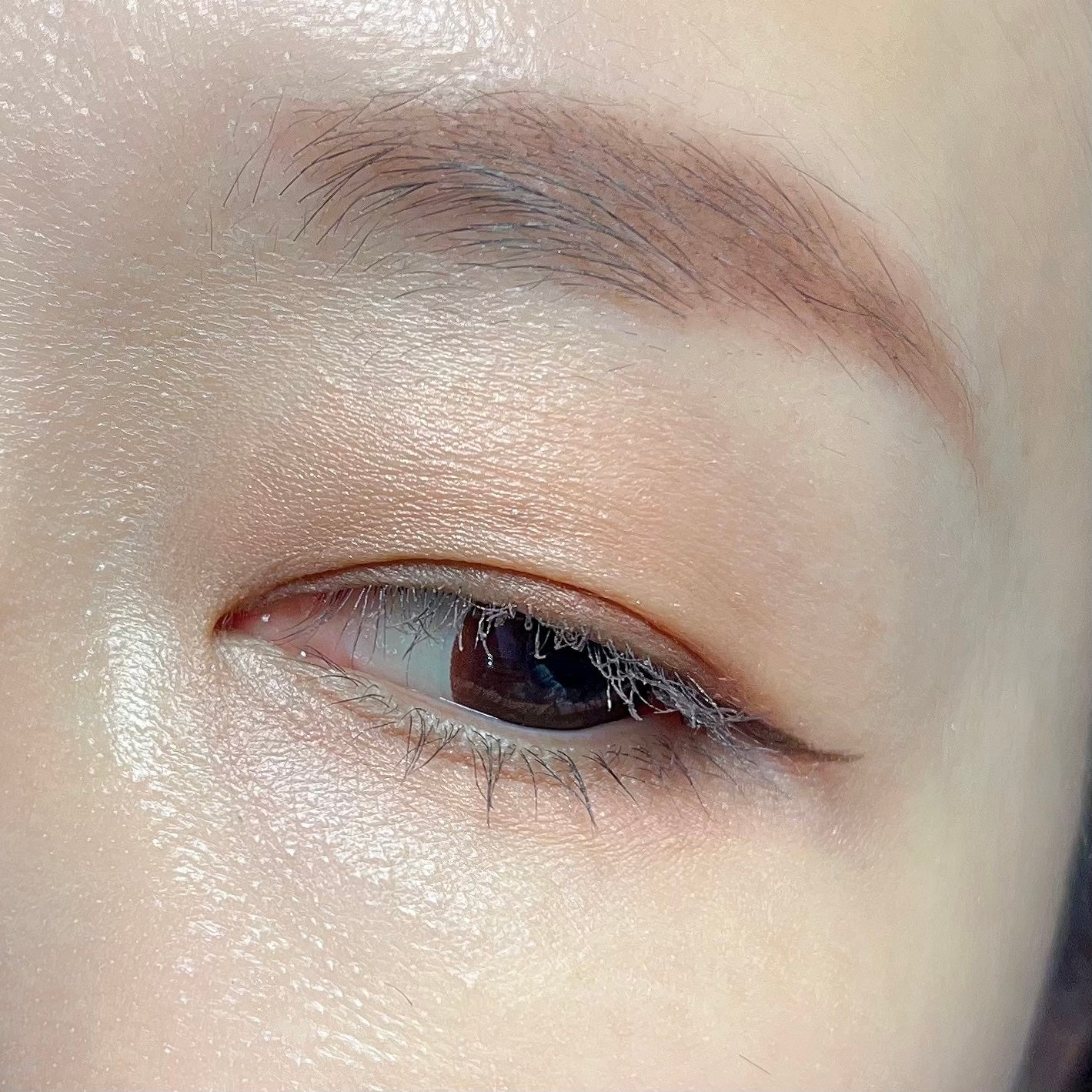 デザイニングブラウンアイズ/KATE/アイシャドウパレットを使ったクチコミ(3枚目)