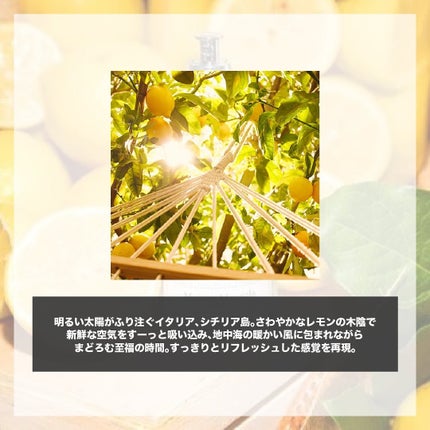 レプリカ オードトワレ アンダー ザ レモンツリー/Maison Margiela Fragrances/香水(レディース)を使ったクチコミ(2枚目)