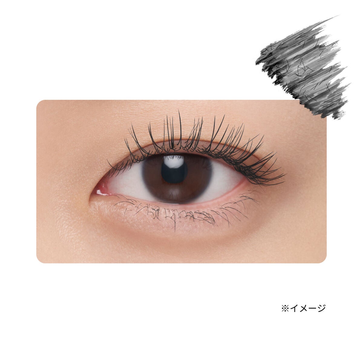 エテュセ アイエディション(マスカラベース)LE ettusais