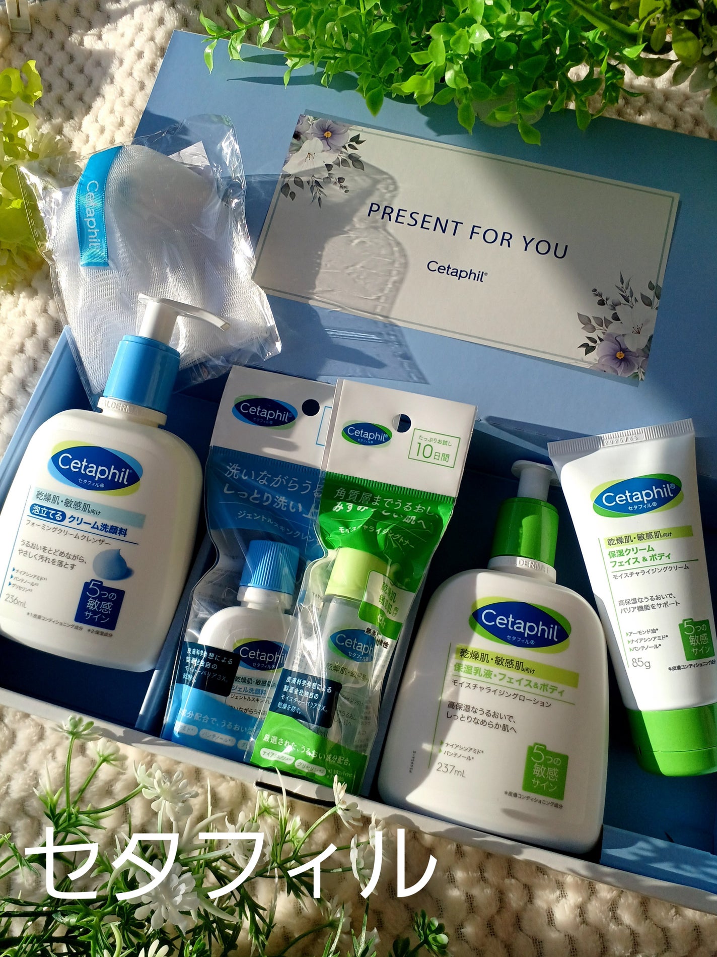 セタフィル モイスチャライジングローション/セタフィル/ボディローションを使ったクチコミ(1枚目)