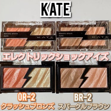 エレクトリックショックアイズ /KATE/アイシャドウパレットを使ったクチコミ（1枚目）