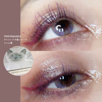 Venus Marble アイシャドウキャットシリーズ/Venus Marble/アイシャドウパレットを使ったクチコミ(1枚目)
