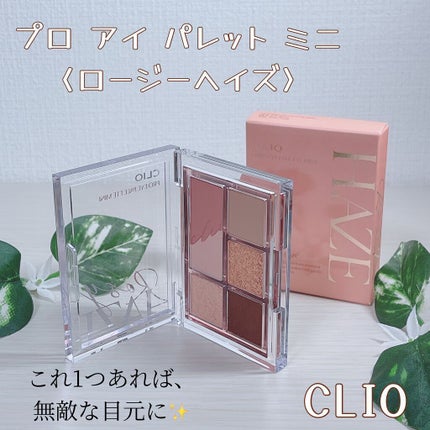 プロ アイパレット ミニ/CLIO/アイシャドウパレットを使ったクチコミ(1枚目)