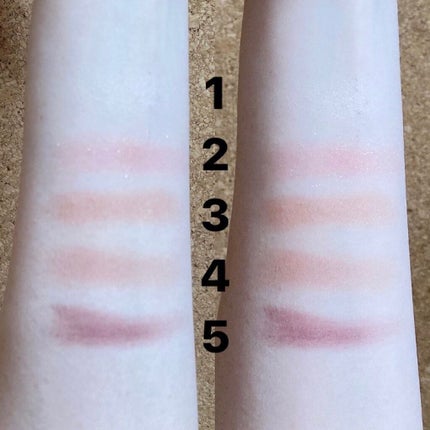 パノラマデザイン アイパレット/Visée/アイシャドウパレットを使ったクチコミ(3枚目)