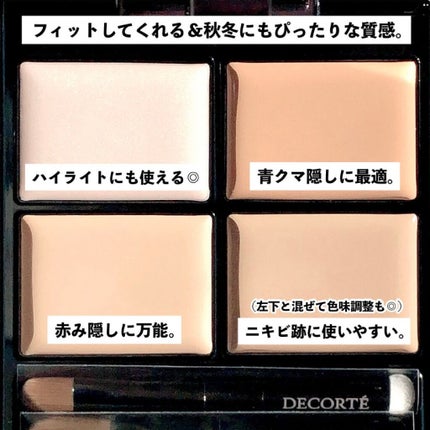 EXPERT CONCEALER (エクスパートコンシーラー)/VDL/リキッドコンシーラーを使ったクチコミ(3枚目)