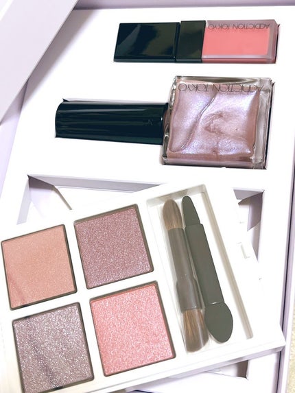 ホリデー アディクション サイレント ウィッシュⅠ/ADDICTION/メイクアップキットを使ったクチコミ(1枚目)