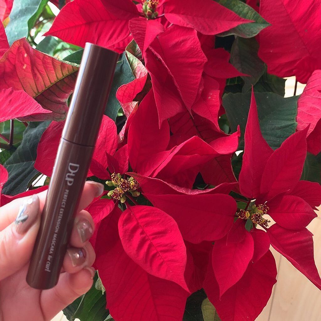 パーフェクトエクステンション マスカラ for カール/D-UP/マスカラを使ったクチコミ(2枚目)