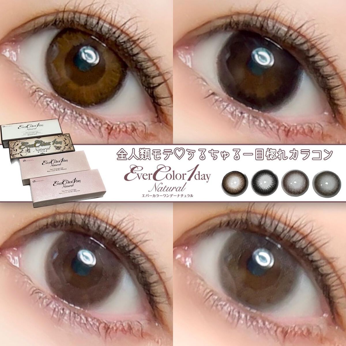 エバーカラーワンデー ナチュラル/エバーカラー/ワンデー(1DAY)カラコンを使ったクチコミ(1枚目)