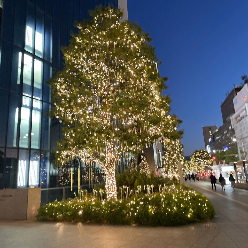 なぁな on LIPS 「ジェルネイル💅💕Xmasもあるし年越しもあるし来年に向けての準..」(5枚目)