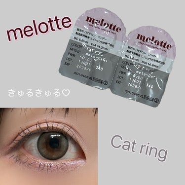 melotte 1day キャットリング/melotte/カラーコンタクトレンズを使ったクチコミ（1枚目）