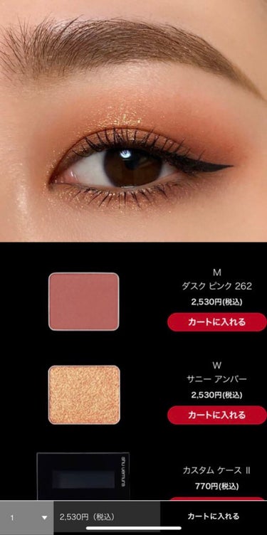 カスタム ケース II 黒/shu uemura/その他化粧小物の画像