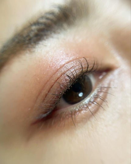 コンスピキュアス アイズ/Amplitude/アイシャドウパレットを使ったクチコミ(5枚目)