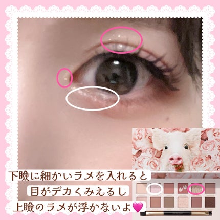 エクスプローラ12色 動物アイシャドウパレット/PERFECT DIARY/アイシャドウパレットを使ったクチコミ(2枚目)