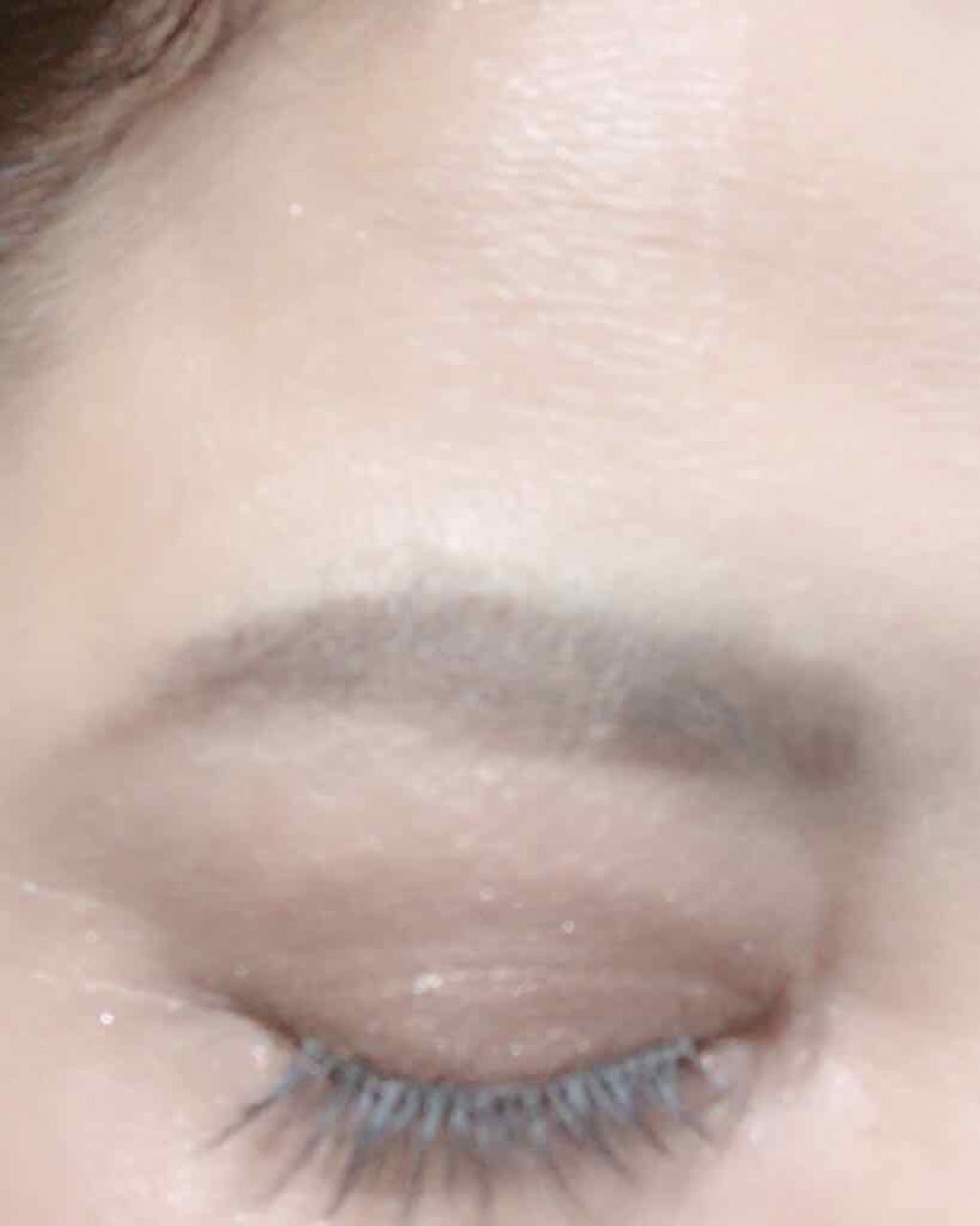 アクセントカラーアイズ CC/インテグレート/アイシャドウパレットを使ったクチコミ(2枚目)