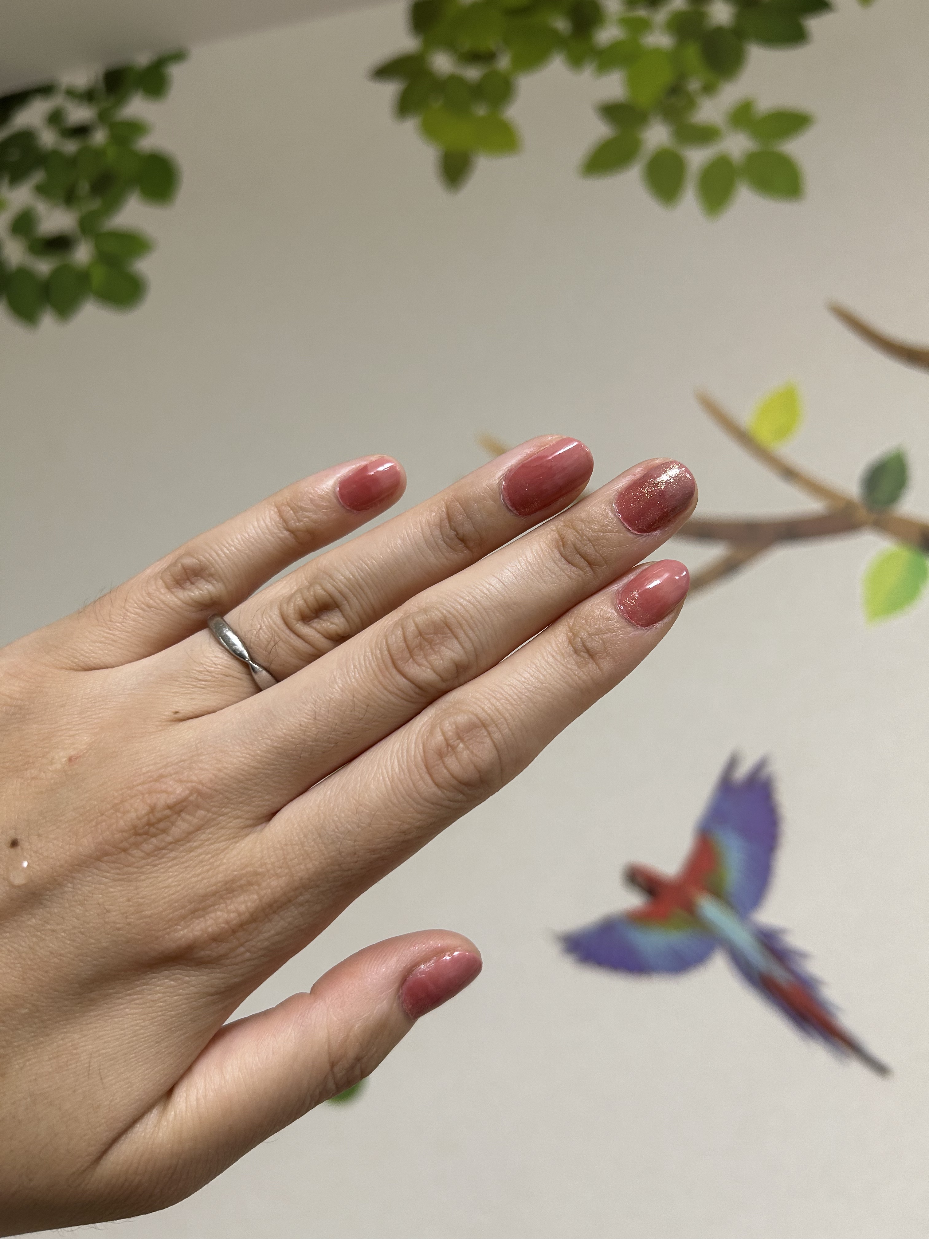 クイック ドライ ベース コート N/REVLON/ネイルベースコートを使ったクチコミ（1枚目）