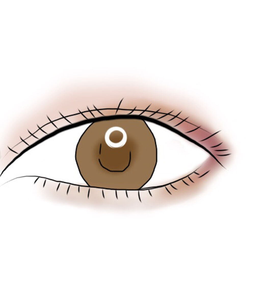 UR GLAM　BLOOMING EYE COLOR PALETTE/U R GLAM/アイシャドウパレットを使ったクチコミ（1枚目）