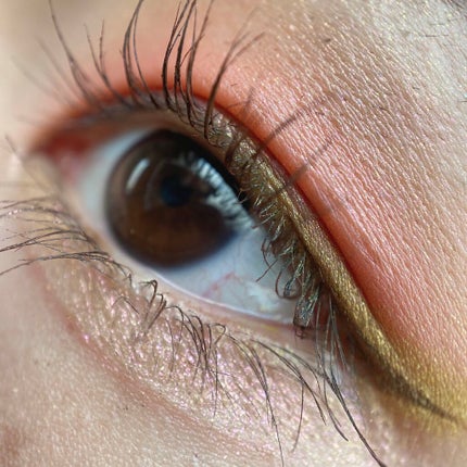 モダン ドリーマー シャドウ パレット/NYX Professional Makeup/アイシャドウパレットを使ったクチコミ(2枚目)