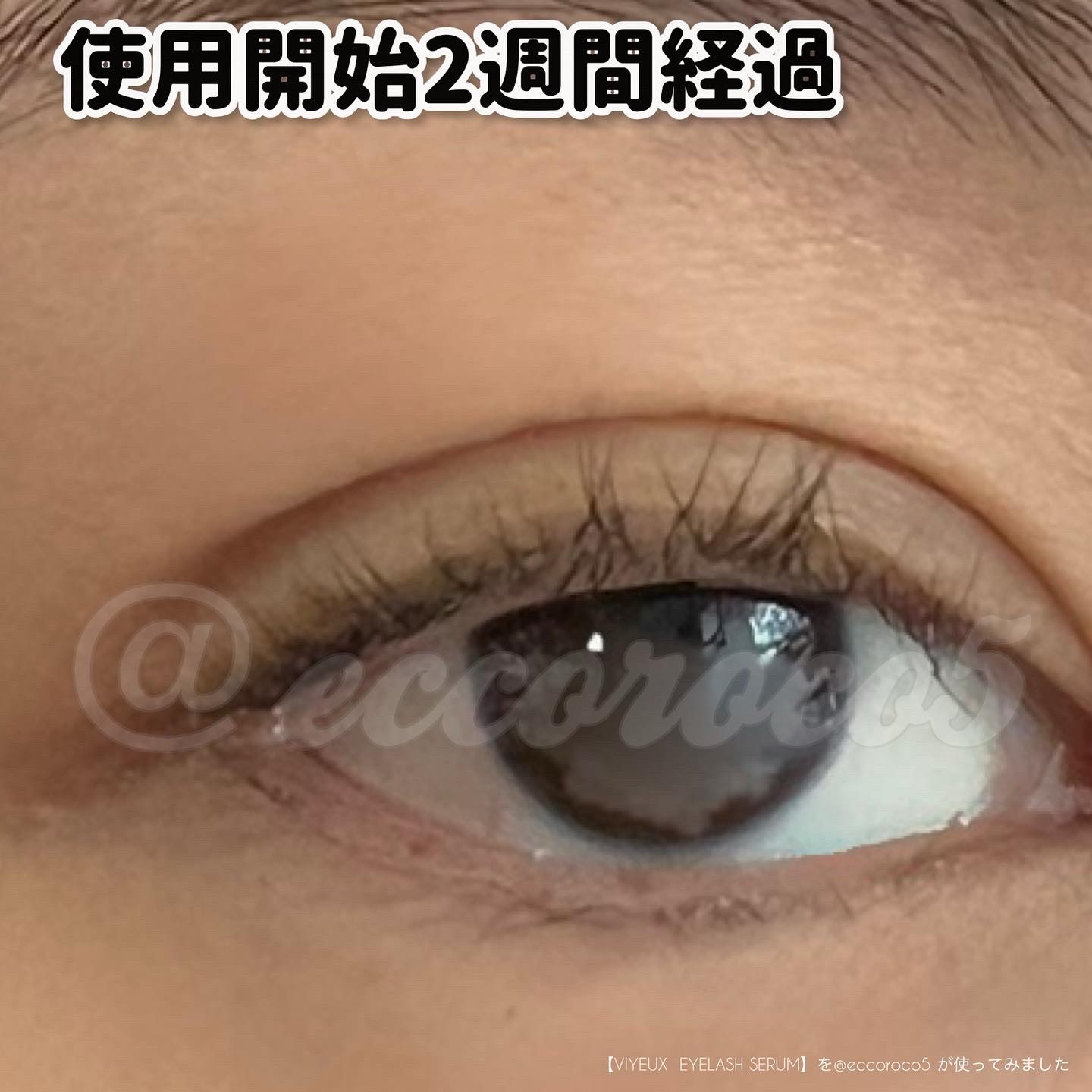 アイラッシュセラム/VIYEUX/まつげ美容液を使ったクチコミ（3枚目）