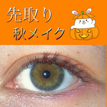 UR GLAM BLOOMING EYE COLOR PALETTE/U R GLAM/アイシャドウパレットを使ったクチコミ(4枚目)