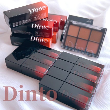 ブラーフィニシュシャドウパレット/Dinto/アイシャドウパレットを使ったクチコミ(1枚目)