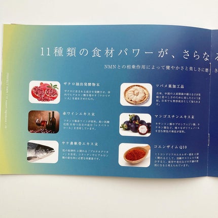 PERFECT NMN/ナチュレジャパン/美容サプリメントを使ったクチコミ(4枚目)