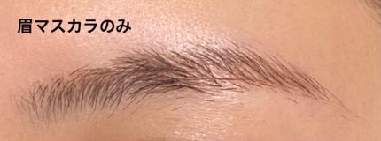 フィルム眉カラー/デジャヴュ/眉マスカラを使ったクチコミ(4枚目)