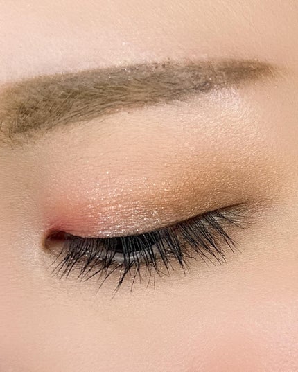 エクスプローラ12色 動物アイシャドウパレット/PERFECT DIARY/アイシャドウパレットを使ったクチコミ(3枚目)