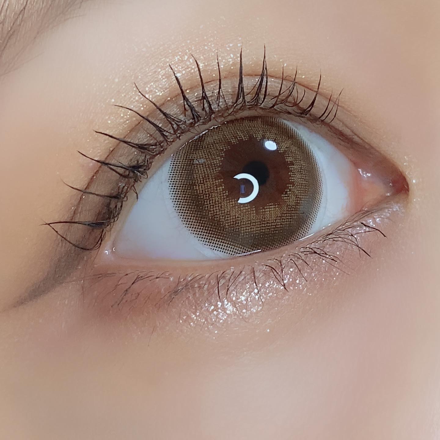 HoneyDrops 1day 15.0mm うるつやブラウン/HONEY DROPS/ワンデー（１DAY）カラコンを使ったクチコミ（3枚目）