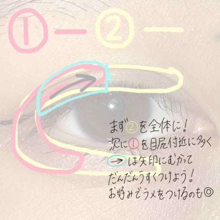 12色アイシャドウパレット/LOUJENE/アイシャドウパレットを使ったクチコミ(4枚目)