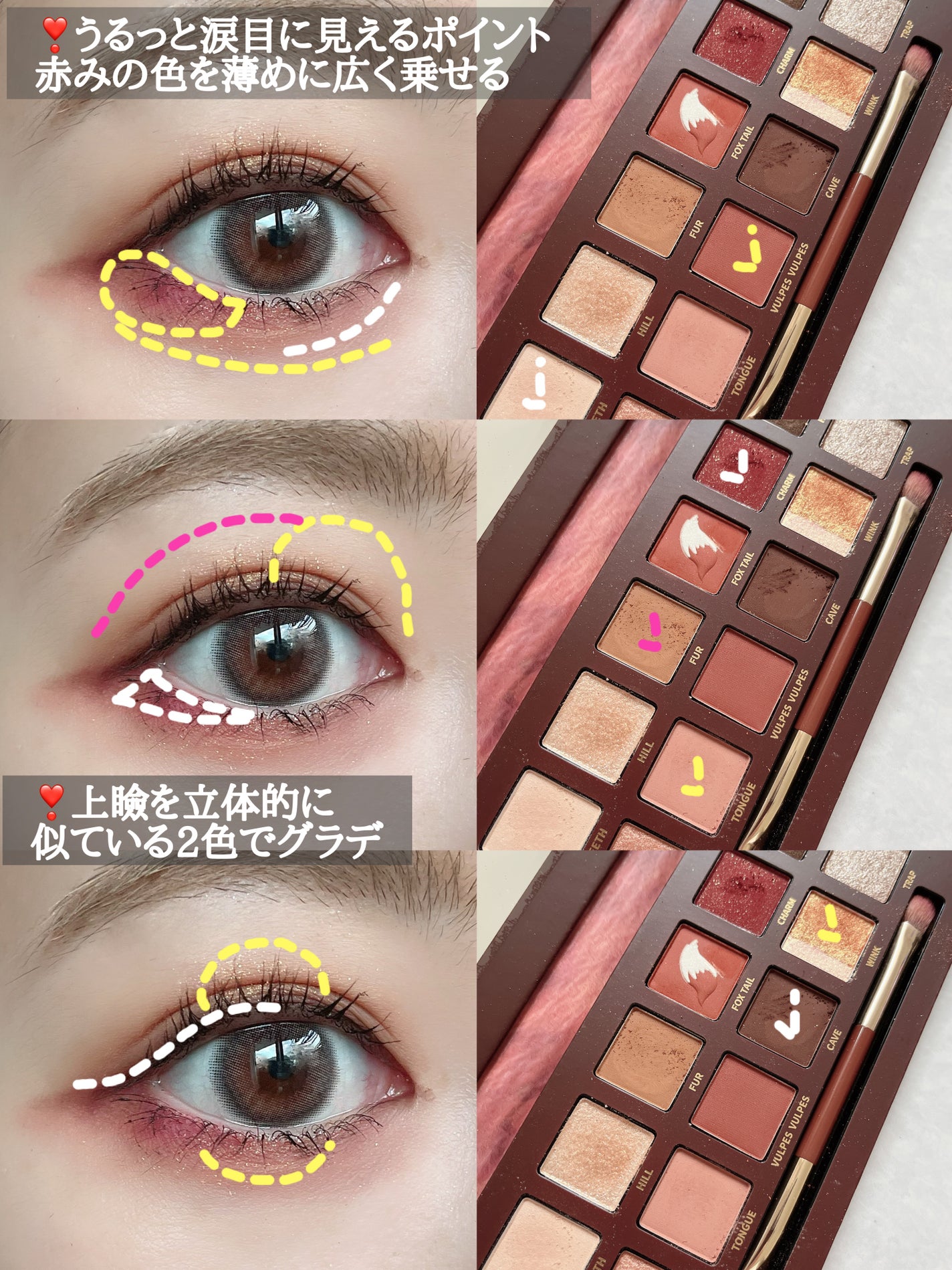 エクスプローラ12色 動物アイシャドウパレット/PERFECT DIARY/アイシャドウパレットを使ったクチコミ(2枚目)